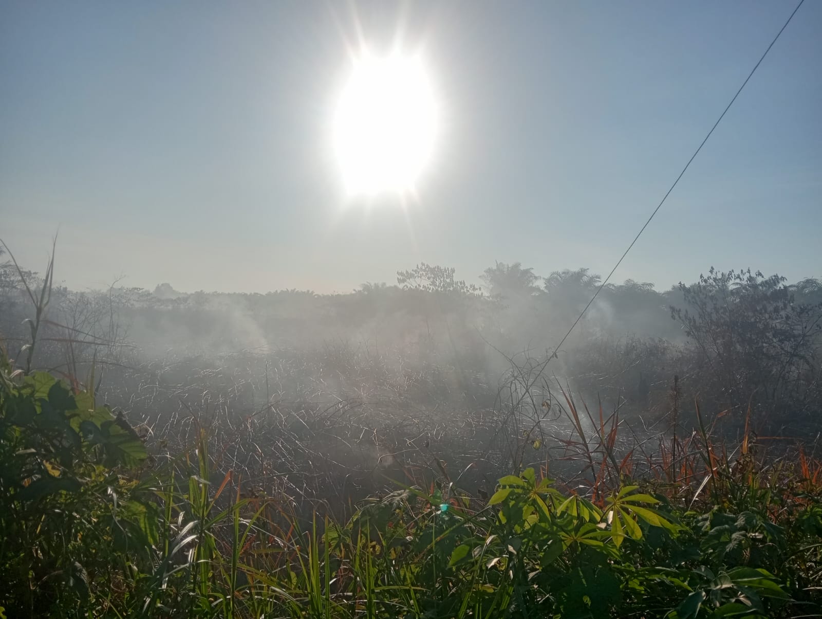 Kebakaran Lahan Hutan Di Aceh Barat, Mencapai Puluhan Hektar!